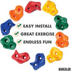 Barcaloo Rock Climbing Wall Hand Holds for Kids for Outdoor Playground